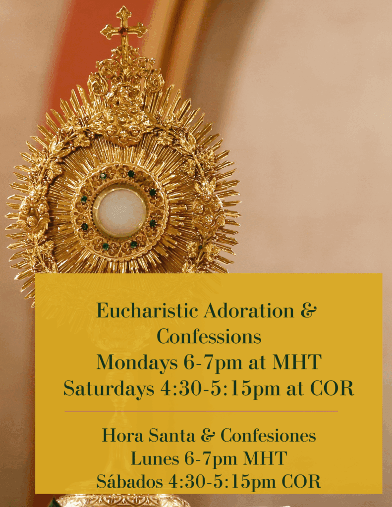 Holy Hour & Confessions